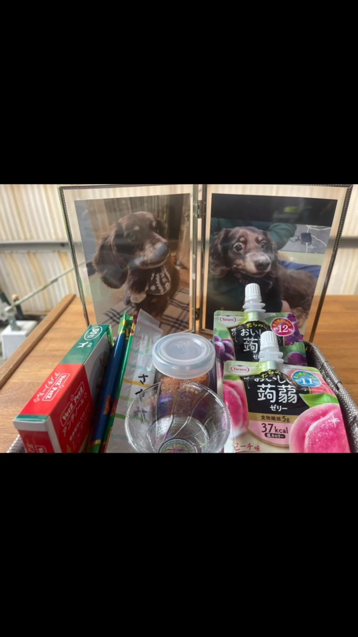 2025年4月13日市原市マロンちゃん御葬儀