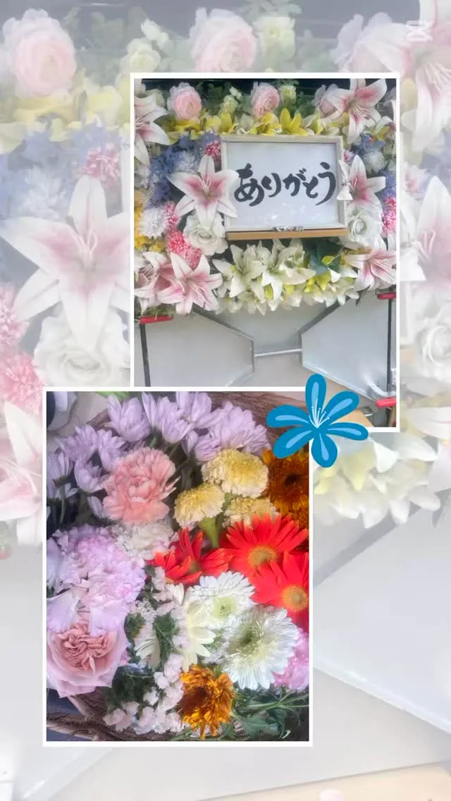 2025年7月6日木更津市ノエルちゃん御葬儀