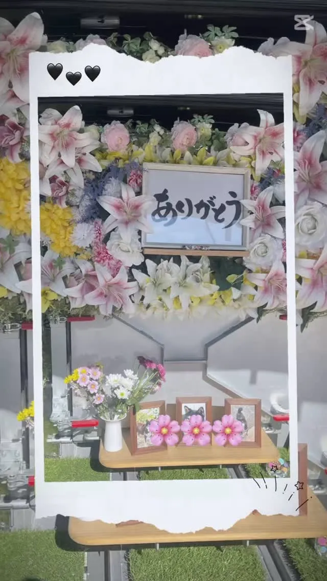 2025年7月25日木更津市さくら🌸ちゃん御葬儀