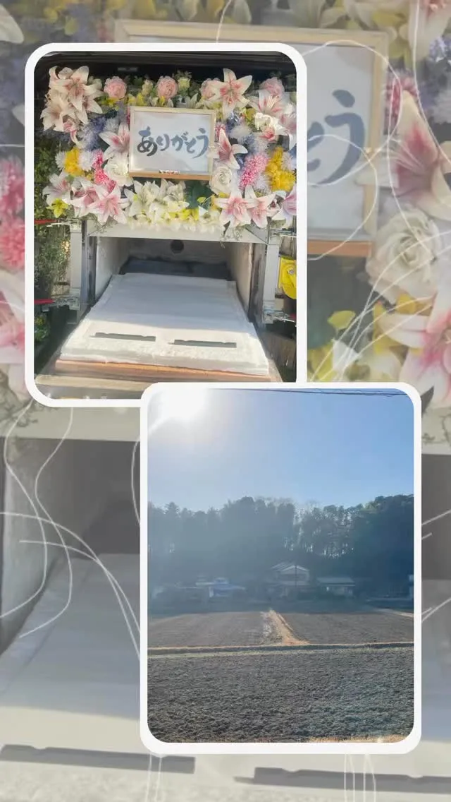 2026年1月18日君津市くろすけちゃんご葬儀