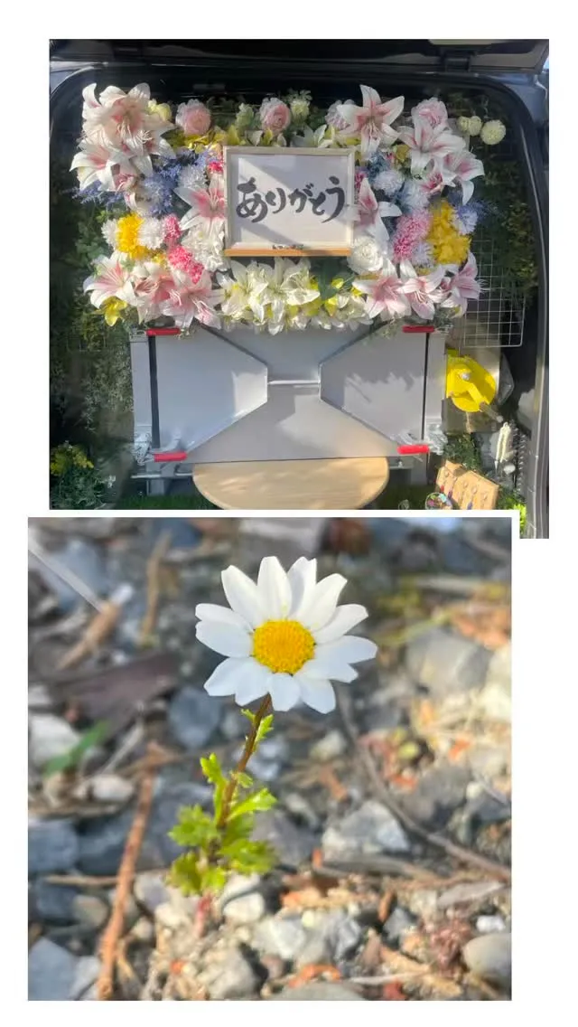 2026年3月28日館山市モカちゃんご葬儀