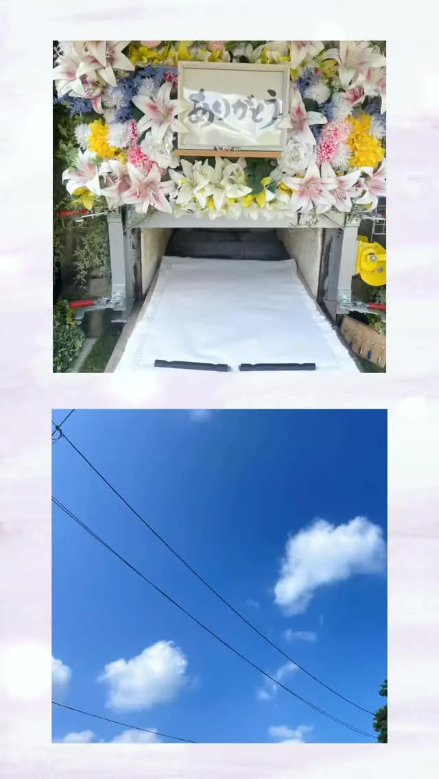 2026年5月15日君津市ピノちゃんご葬儀