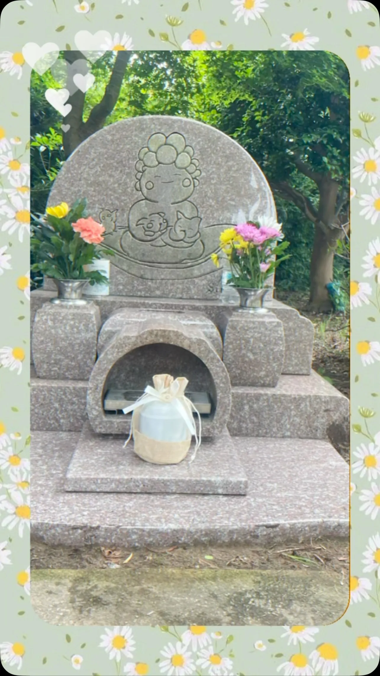 2026年6月30日木更津市ちゃちゃちゃんご葬儀