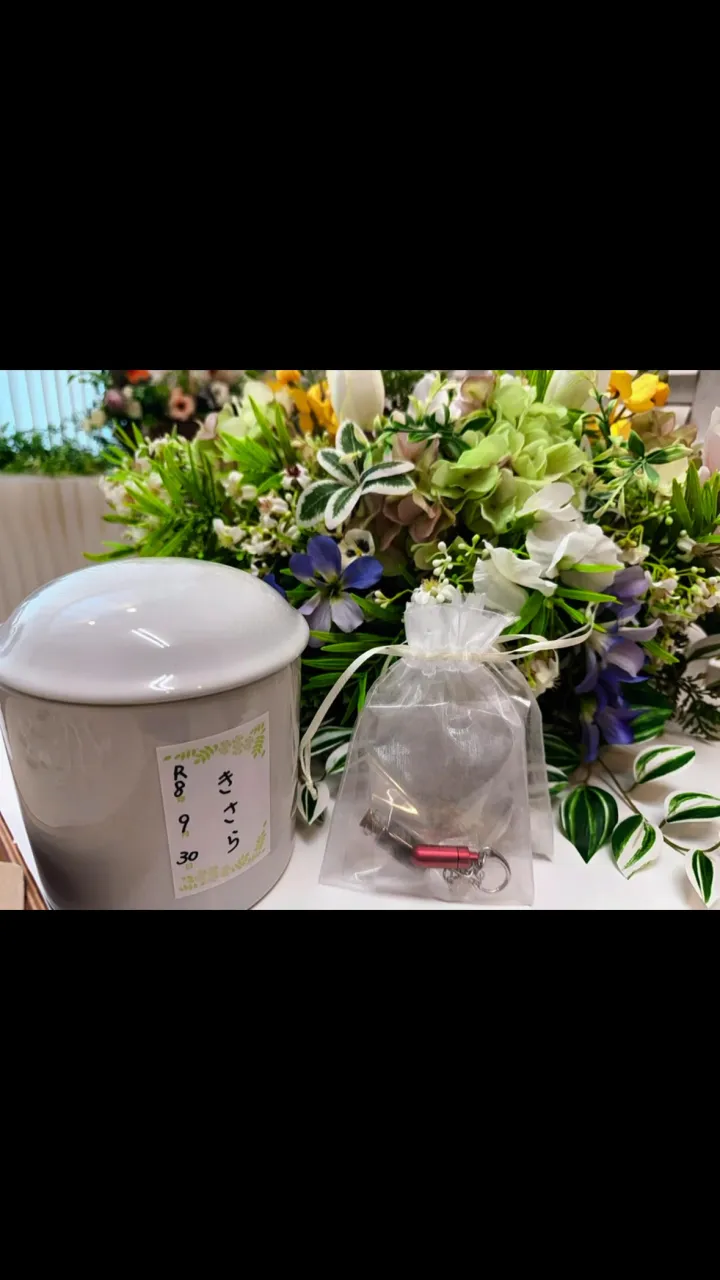 2026年10月1日木更津市きさらちゃんご葬儀