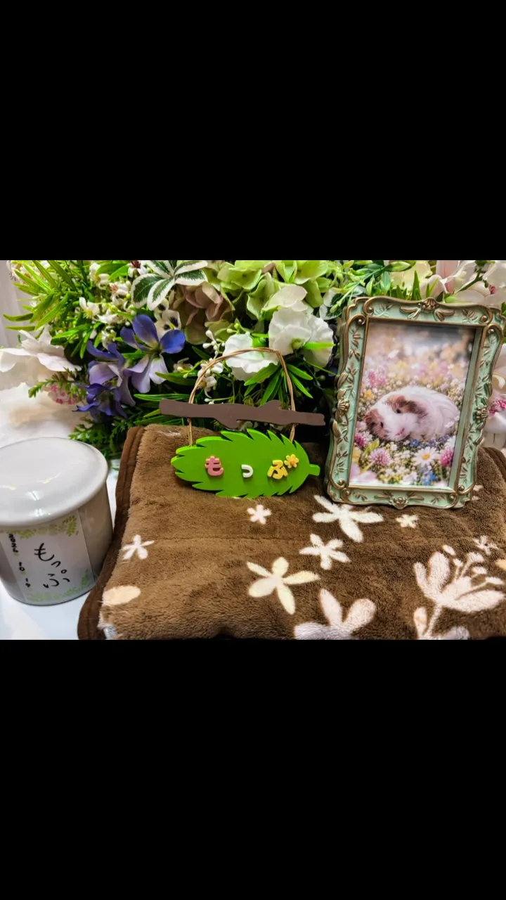 2026年10月16日木更津市もっぷちゃんご葬儀